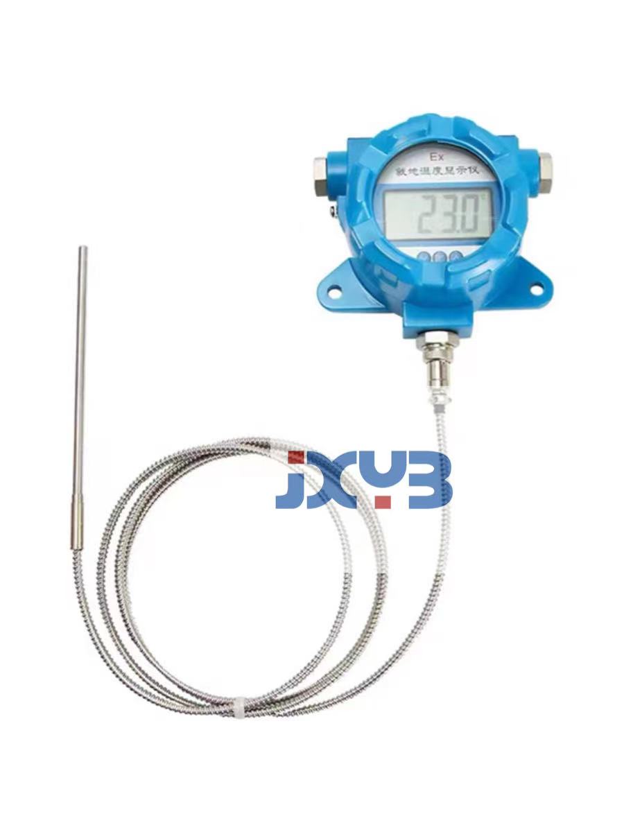 防爆數(shù)顯溫度計(jì)（分體纜式）